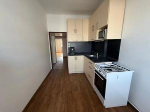 Pronájem bytu 1+1, Brno, Mlýnská, 38 m2