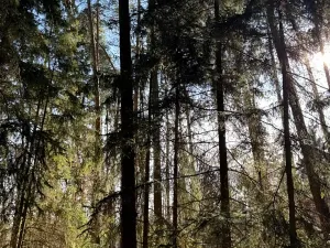 Prodej pozemku, Slabčice, 15673 m2