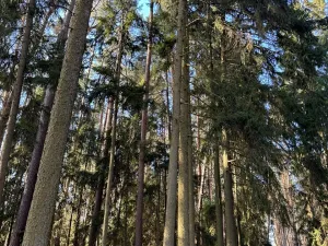 Prodej pozemku, Slabčice, 15673 m2