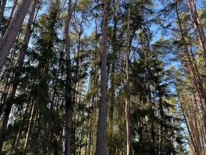 Prodej pozemku, Slabčice, 15673 m2