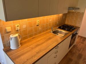 Pronájem bytu 1+1, Prostějov, Tylova, 40 m2