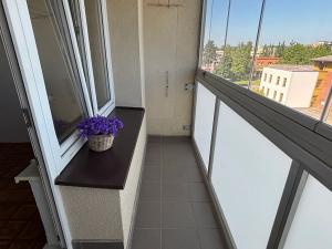 Prodej bytu 1+kk, Český Těšín, Slezská, 28 m2