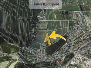 Prodej louky, Velké Opatovice, 1433 m2