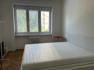 Pronájem bytu 2+1, Praha - Strašnice, Na hroudě, 58 m2