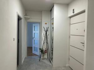 Pronájem bytu 2+1, Praha - Strašnice, Na hroudě, 58 m2