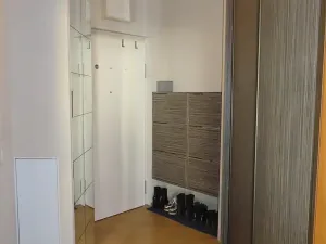 Prodej bytu 1+kk, Praha - Kyje, Pelušková, 42 m2