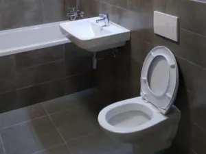 Pronájem bytu 2+kk, Horoměřice, Velvarská, 53 m2