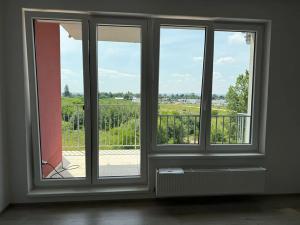 Pronájem bytu 1+kk, Pardubice, Pod Vinicí, 39 m2