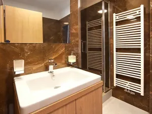Pronájem bytu 2+kk, Brno, Masarykova, 62 m2