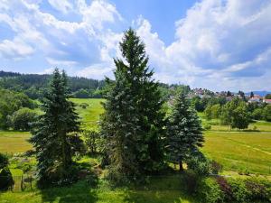 Pronájem bytu 4+1, Jablonec nad Nisou, Vlaštovčí, 77 m2