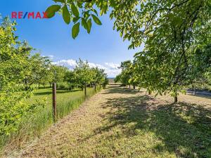 Prodej pozemku pro bydlení, Pleše, 924 m2