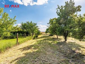 Prodej pozemku pro bydlení, Pleše, 924 m2