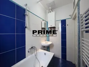 Pronájem bytu 1+1, Praha - Vinohrady, Lužická, 60 m2