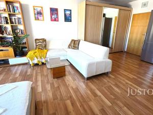 Prodej bytu 1+kk, Písek, V Portyči, 51 m2