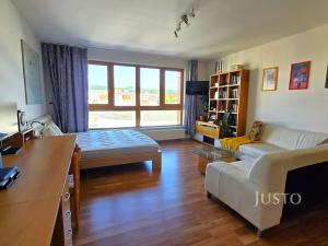 Prodej bytu 1+kk, Písek, V Portyči, 51 m2