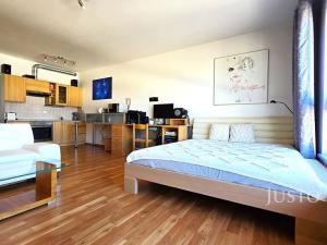 Prodej bytu 1+kk, Písek, V Portyči, 51 m2
