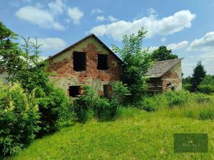Prodej rodinného domu, Nová Ves, 250 m2
