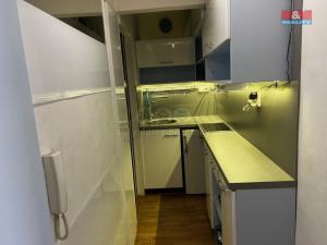 Pronájem bytu 1+kk, Praha - Vinohrady, Šrobárova, 20 m2