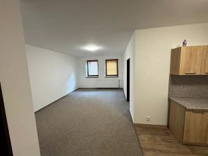 Pronájem bytu 2+kk, Liberec, Česká, 54 m2