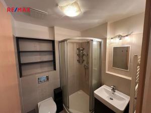 Pronájem bytu 1+kk, Černošice, Mokropeská, 29 m2