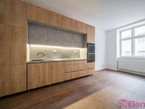 Pronájem bytu 1+kk, Brno, Spolková, 49 m2