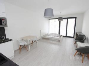 Pronájem bytu 1+kk, Praha - Karlín, Sokolovská, 35 m2