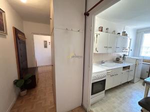 Prodej bytu 3+1, České Budějovice - České Budějovice 7, L. M. Pařízka, 64 m2