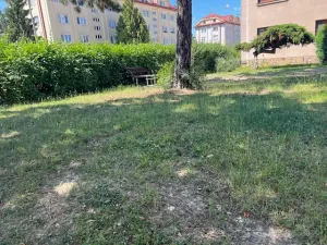 Pronájem bytu 2+1, Čelákovice, Prokopa Holého, 65 m2