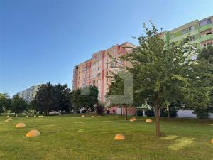 Pronájem bytu 2+kk, České Budějovice - České Budějovice 2, N. Frýda, 42 m2
