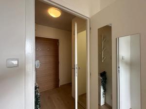 Pronájem bytu 1+kk, Brno, Švermova, 30 m2