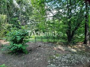 Prodej chaty, Bystřice, 24 m2