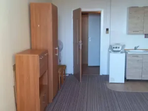 Pronájem bytu 1+kk, Ostrava, Závoří, 32 m2