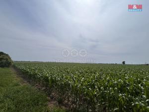 Prodej pole, Prostějov - Žešov, 8491 m2