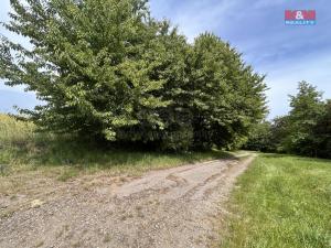 Prodej pole, Prostějov - Žešov, 10932 m2