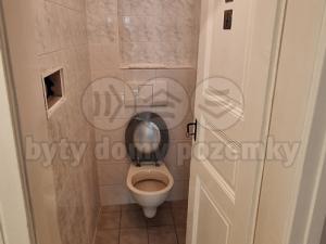 Pronájem bytu 1+1, Praha, Na bělidle, 55 m2