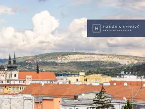 Pronájem bytu 1+kk, Brno, Cejl, 36 m2
