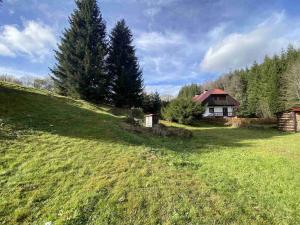 Prodej pozemku, Hartmanice - Kochánov, 126 m2