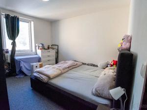 Pronájem bytu 2+1, Trutnov, Lomená, 51 m2