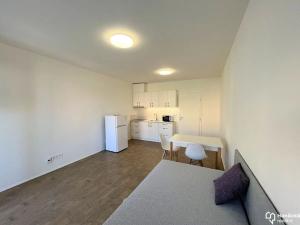 Pronájem bytu 1+kk, Olomouc, Wolkerova, 30 m2