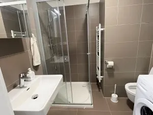 Pronájem bytu 1+kk, Olomouc, Wolkerova, 30 m2