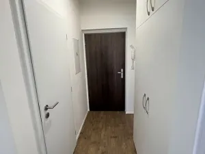 Pronájem bytu 1+kk, Olomouc, Wolkerova, 30 m2
