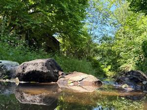 Prodej chaty, Borovnice, 75 m2