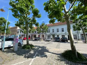 Pronájem bytu 2+1, Židlochovice, 65 m2