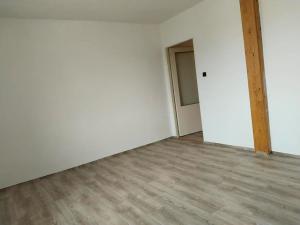 Pronájem bytu 1+1, Kozojedy, 48 m2
