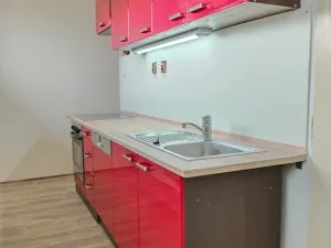 Pronájem bytu 1+1, Kozojedy, 48 m2