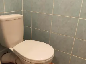 Pronájem bytu 1+1, Kozojedy, 48 m2