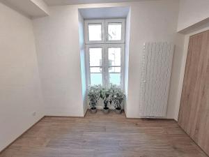 Pronájem bytu 2+kk, Brno, Cihlářská, 44 m2
