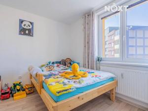 Prodej bytu 4+1, České Budějovice, K. Štěcha, 78 m2