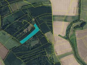 Prodej louky, Dubenec, 145881 m2