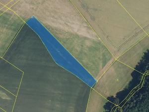 Prodej louky, Doubravice, 145881 m2